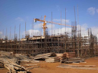 山東園林綠化養(yǎng)護(hù)工程造價(jià)解析 誠(chéng)信合作，構(gòu)筑綠色精品工程